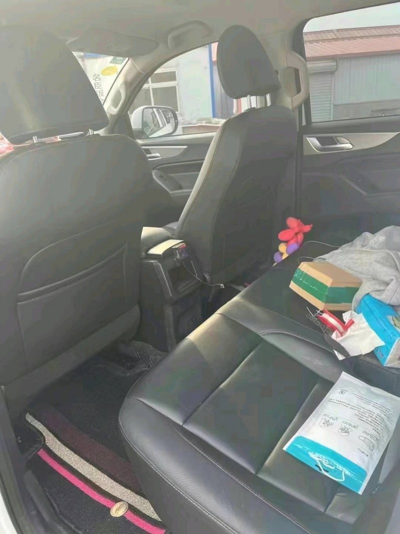 滄州21年長城汽車炮 皮卡6