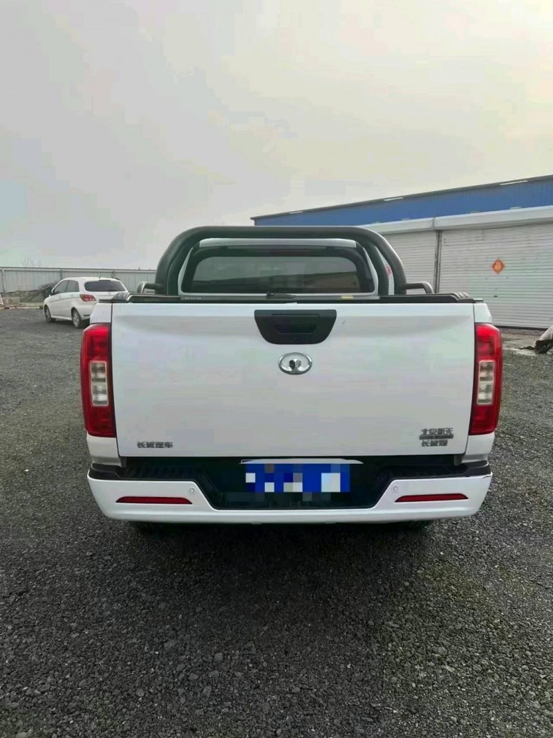 滄州21年長城汽車炮 皮卡8