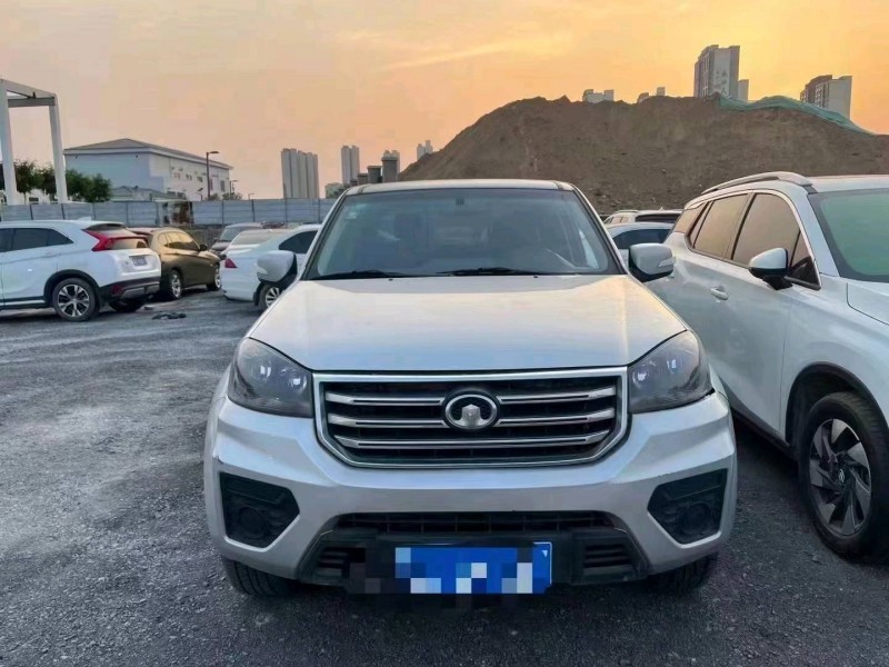 秦皇島20年長城汽車風駿51