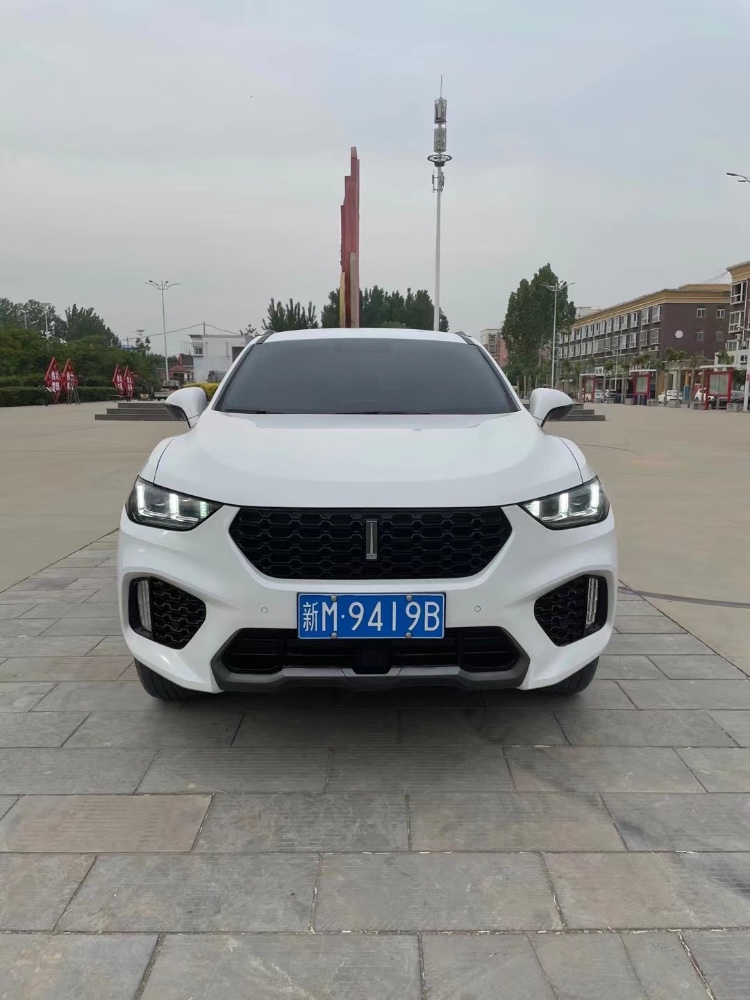 聊城19年長城汽車WEY VV51
