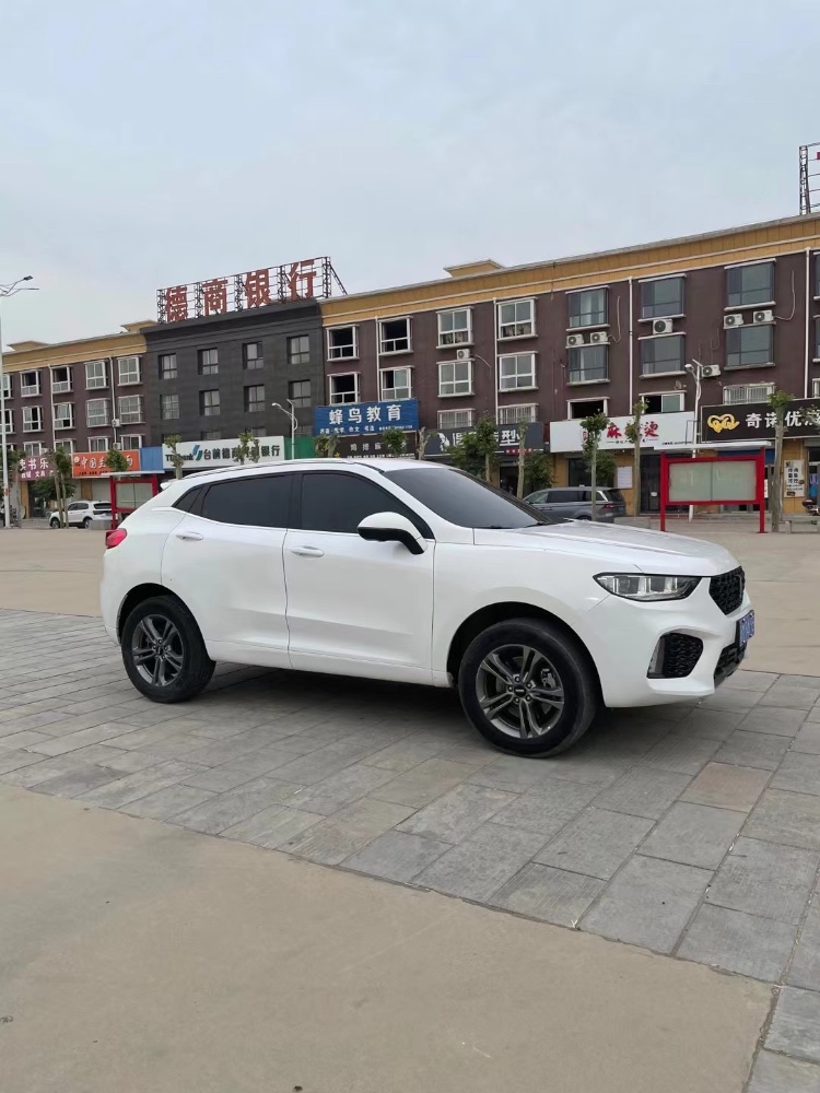 聊城19年長城汽車WEY VV53