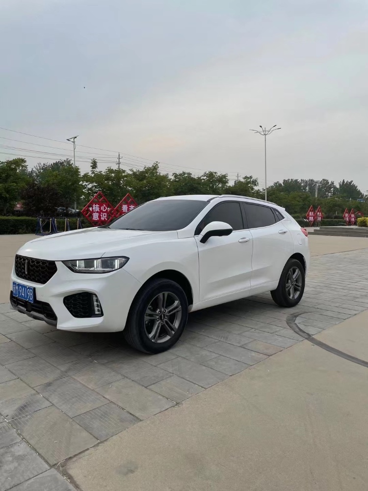 聊城19年長城汽車WEY VV52