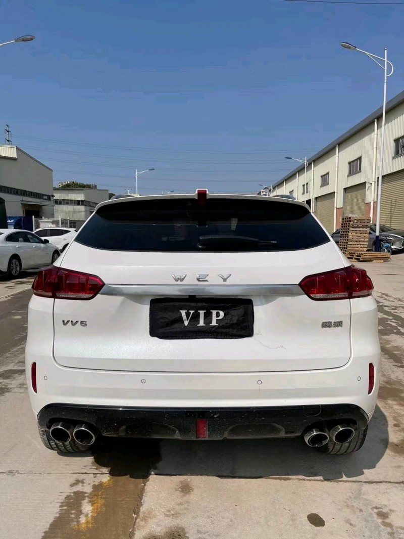 東莞19年長城汽車WEY VV59