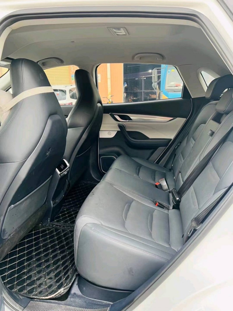 东莞20年威马汽车EX-54