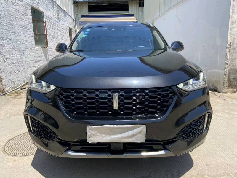 廣州19年長城汽車WEY VV61