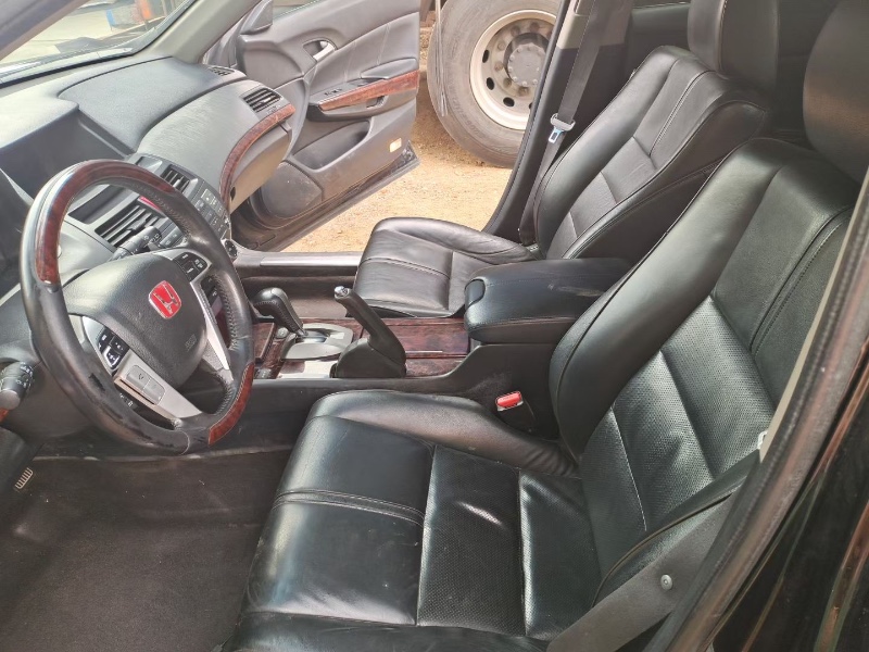 青岛11年本田歌诗图3