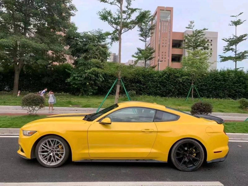 廣州15年福特野馬6