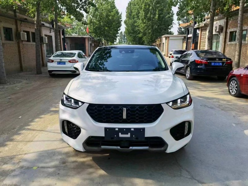 保定19年長城汽車WEY VV51