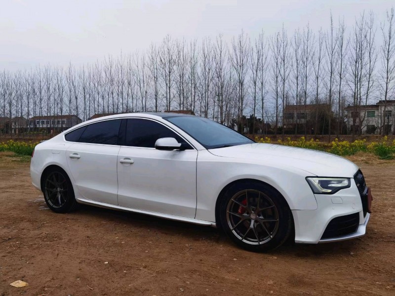 徐州15年奥迪A53