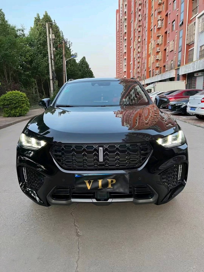 邢臺19年長城汽車WEY VV51