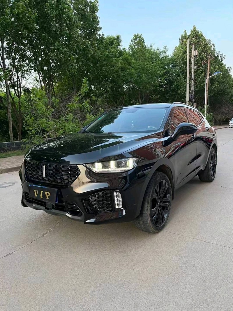 邢臺19年長城汽車WEY VV52