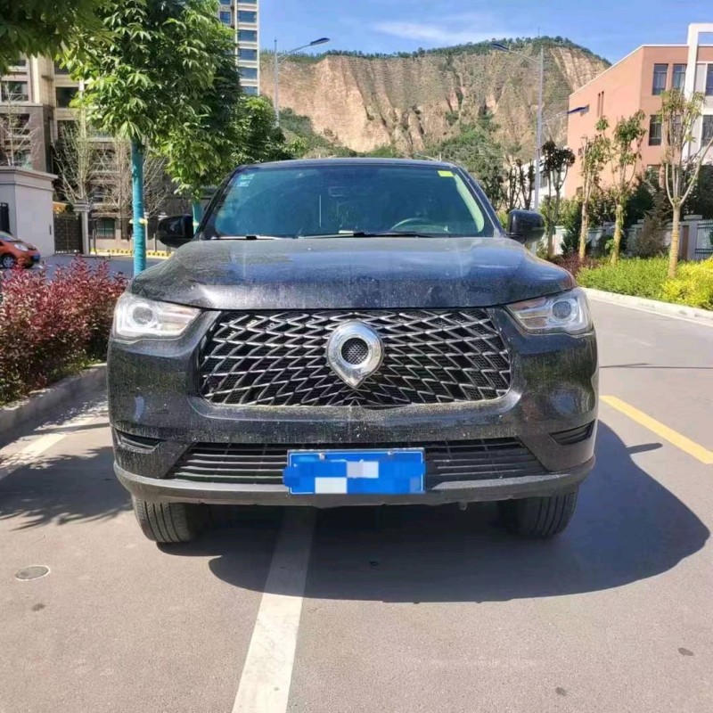 濰坊20年長城汽車炮 皮卡1