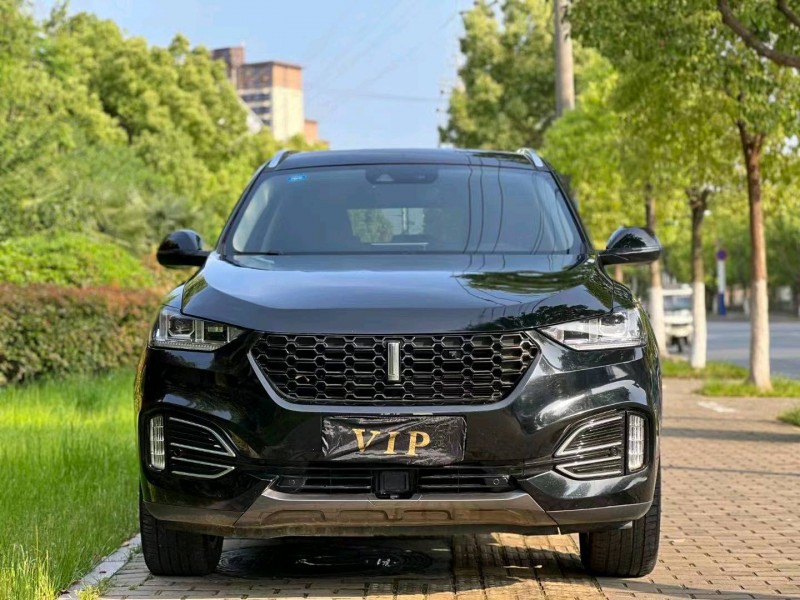 淮北19年長城汽車WEY VV61
