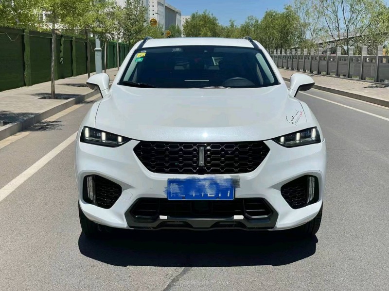 漢中17年長城汽車WEY VV71