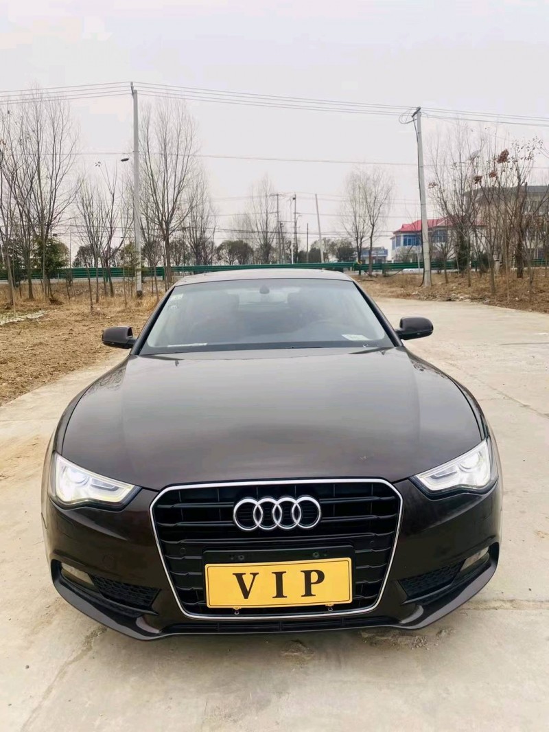 徐州15年奥迪A51