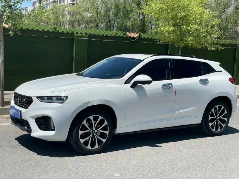 武威17年長城汽車WEY VV75