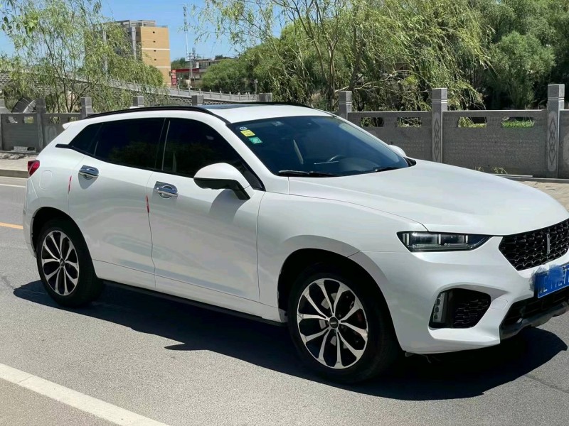 武威17年長城汽車WEY VV77