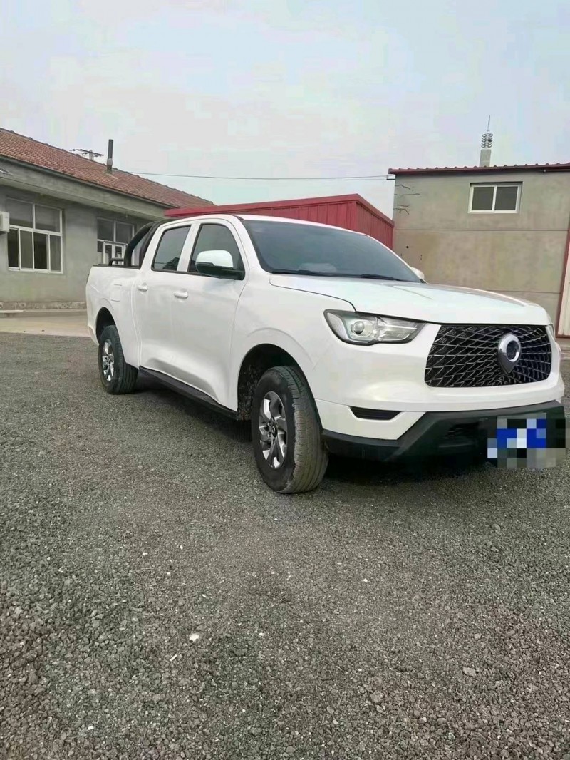 邯鄲21年長城汽車炮 皮卡3