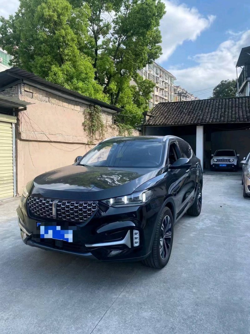 安順20年長城汽車WEY VV61