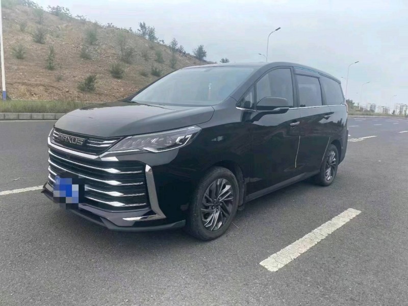 棗莊21年大通G508