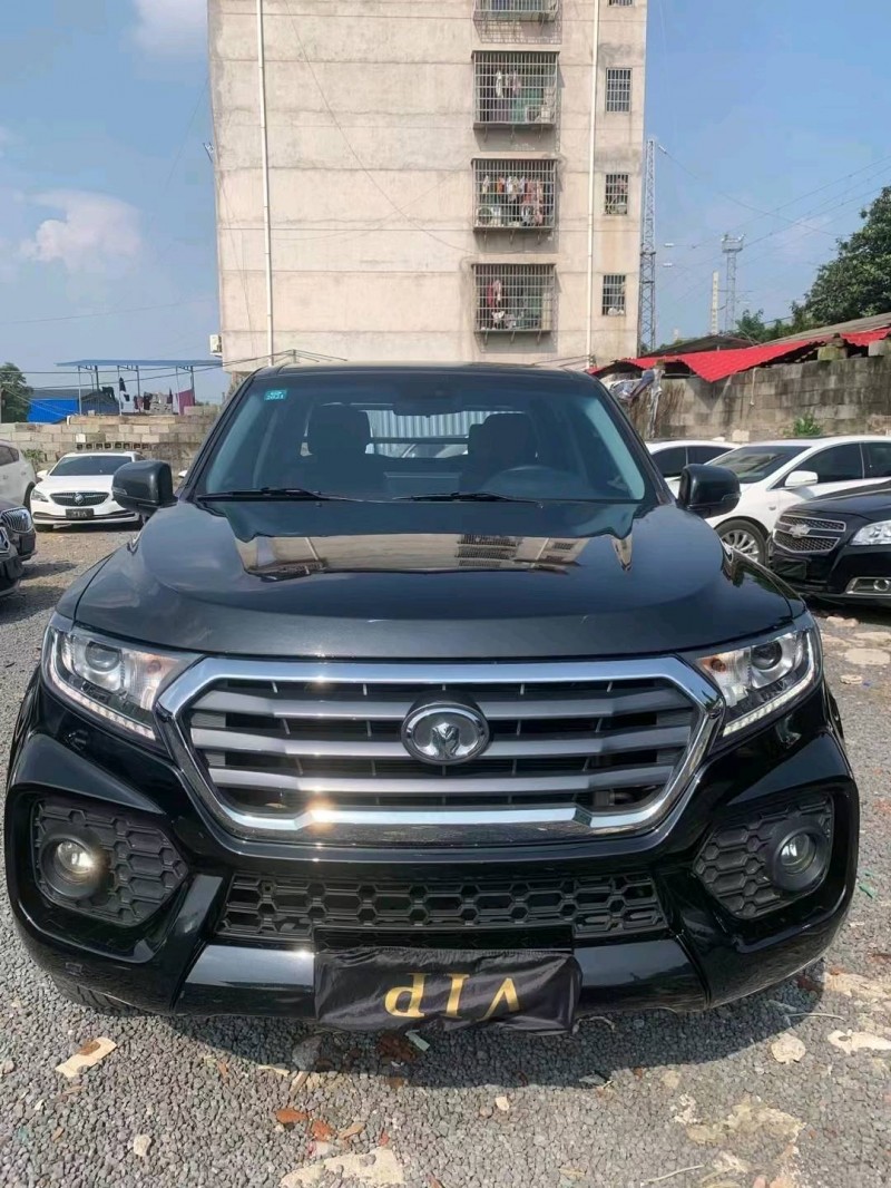 湘潭20年長城汽車風駿71