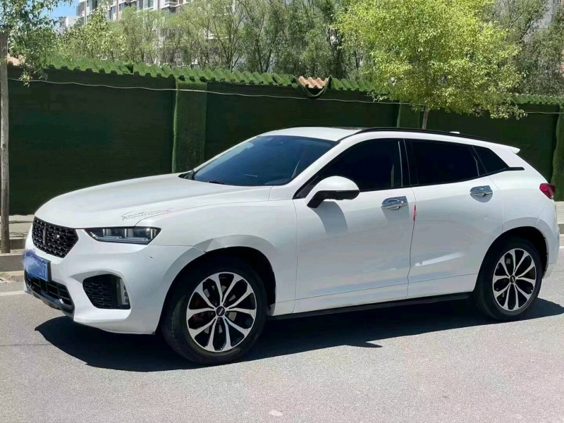 武威17年長城汽車WEY VV75