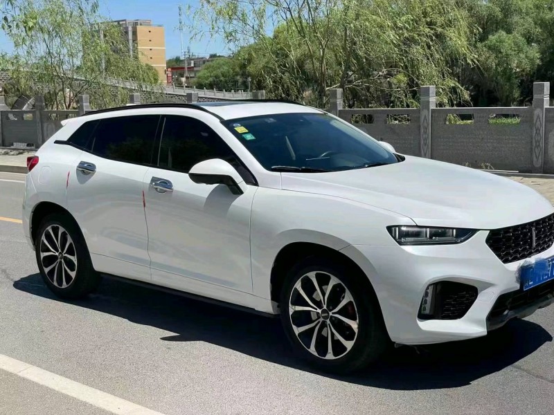 武威17年長城汽車WEY VV77