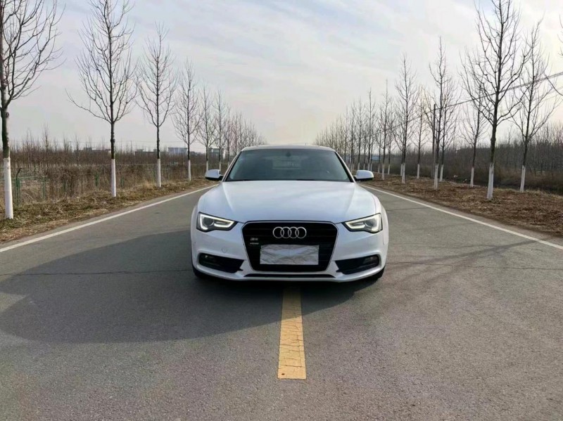 徐州16年奥迪A59