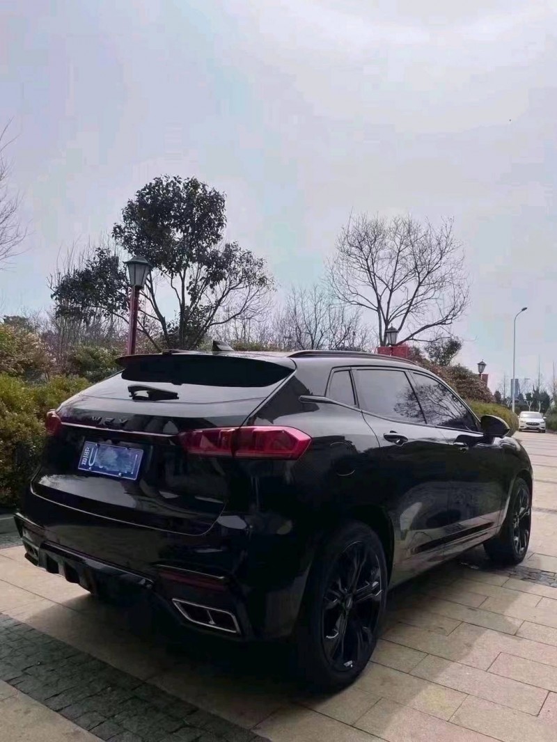煙臺20年長城汽車WEY VV77