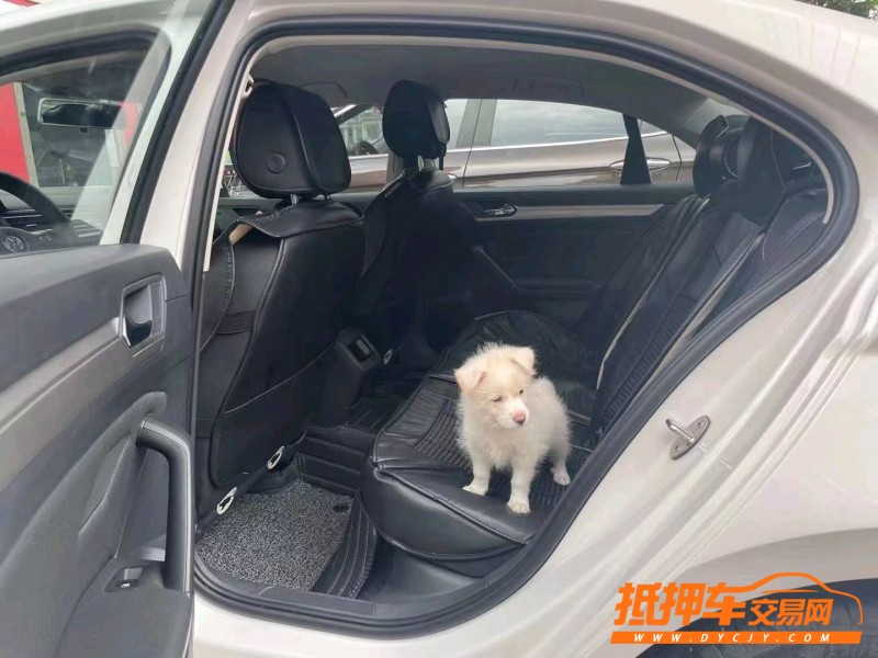 南通19年大眾凌渡5