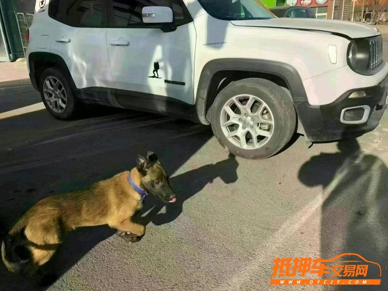 天津19年Jeep自由俠4