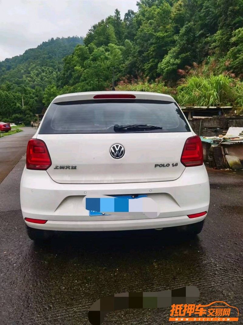 金華15年大眾polo4
