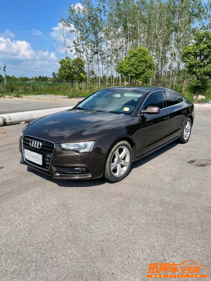 盐城14年奥迪A57
