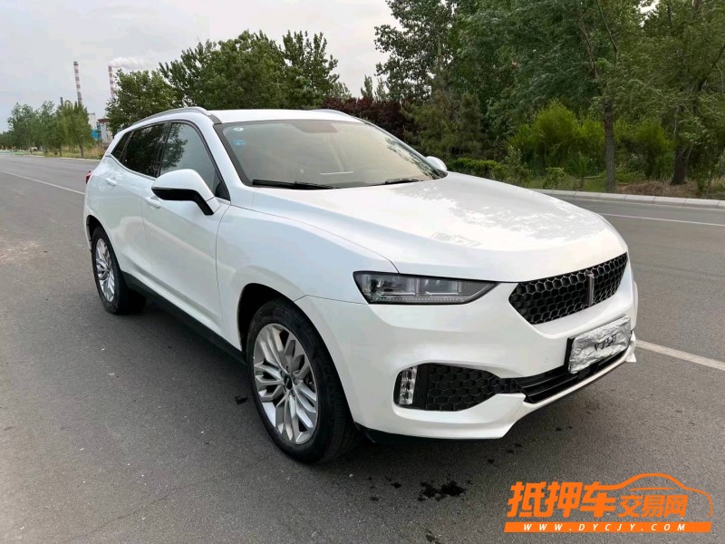濱州17年長城汽車WEY VV77