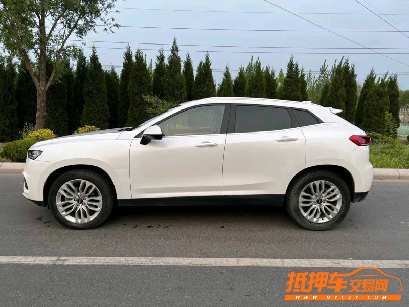濱州17年長城汽車WEY VV73