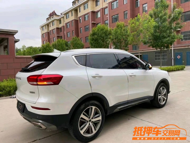 潍坊19年哈弗H63