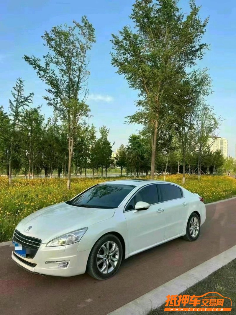 潍坊15年标致5089