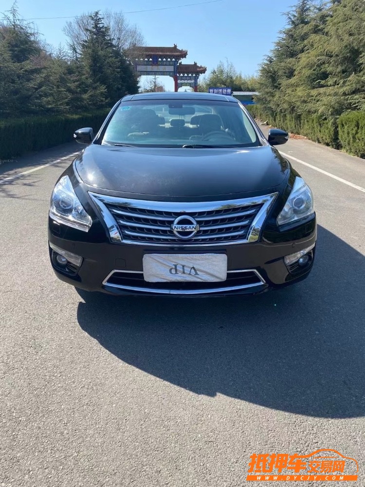 青島14年日產公爵王1