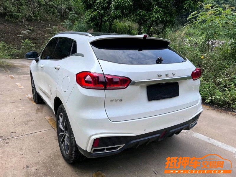 南寧20年長城汽車WEY VV51