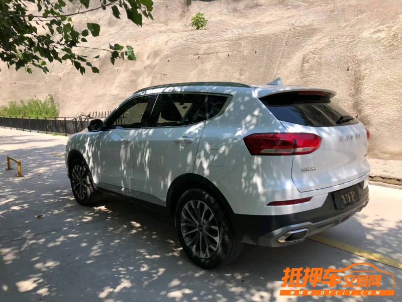 青岛20年哈弗H68