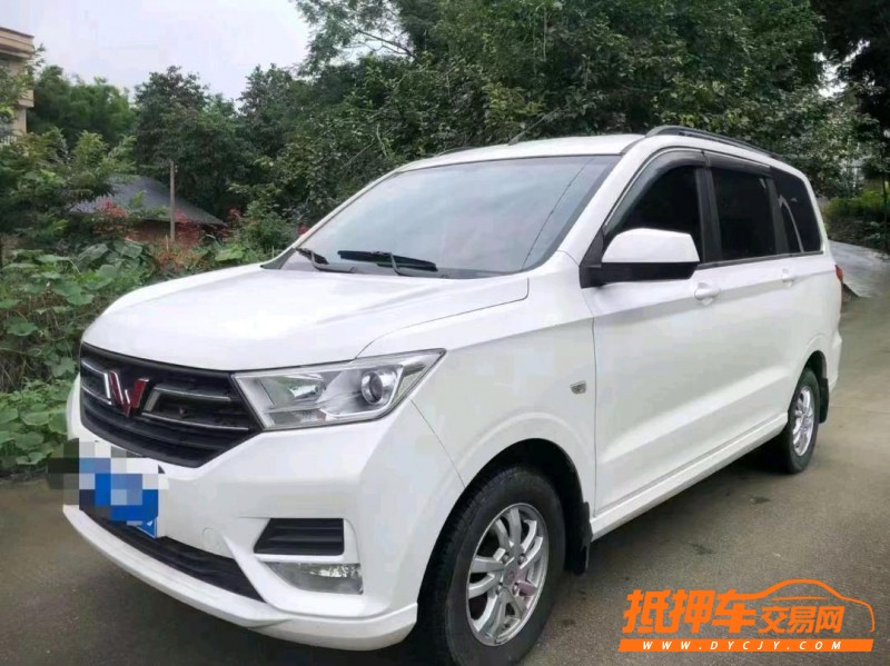 廣州20年五菱汽車宏光S33