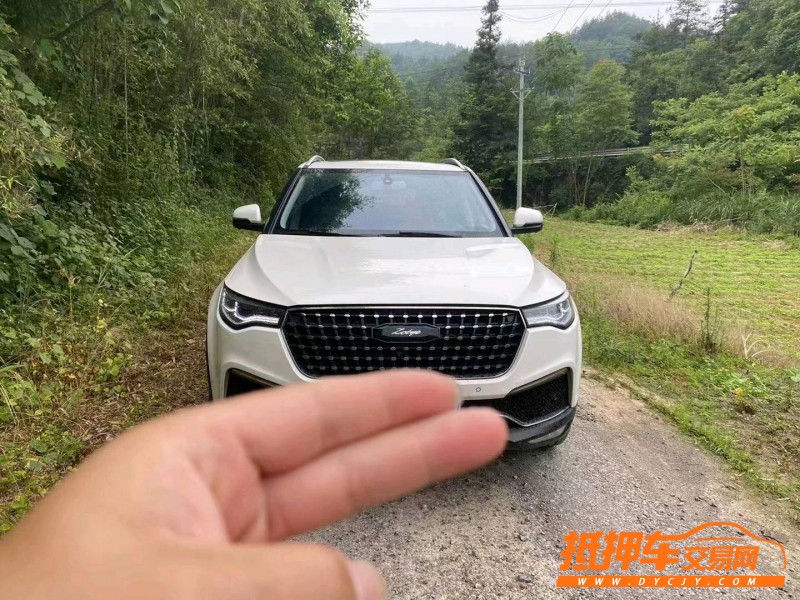 鄂州19年眾泰T7001