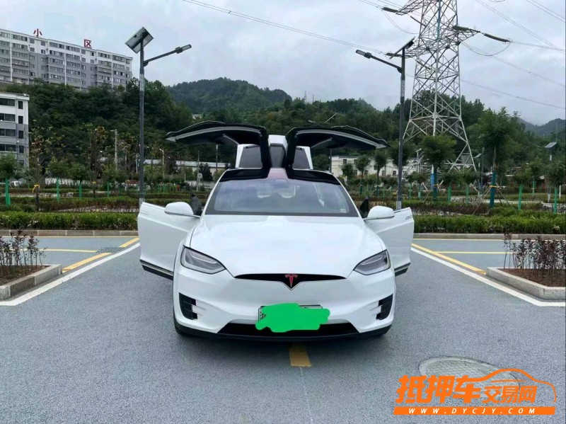 重慶18年特斯拉MODEL X6