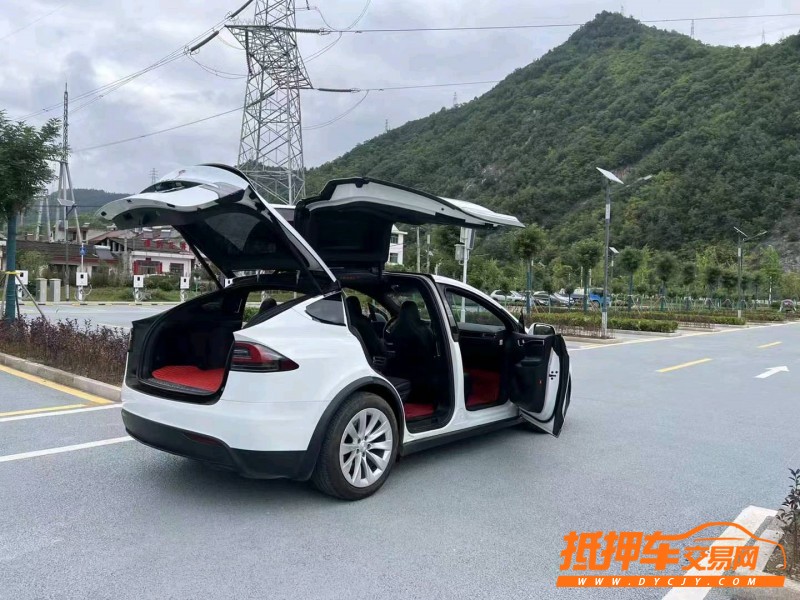 重慶18年特斯拉MODEL X8