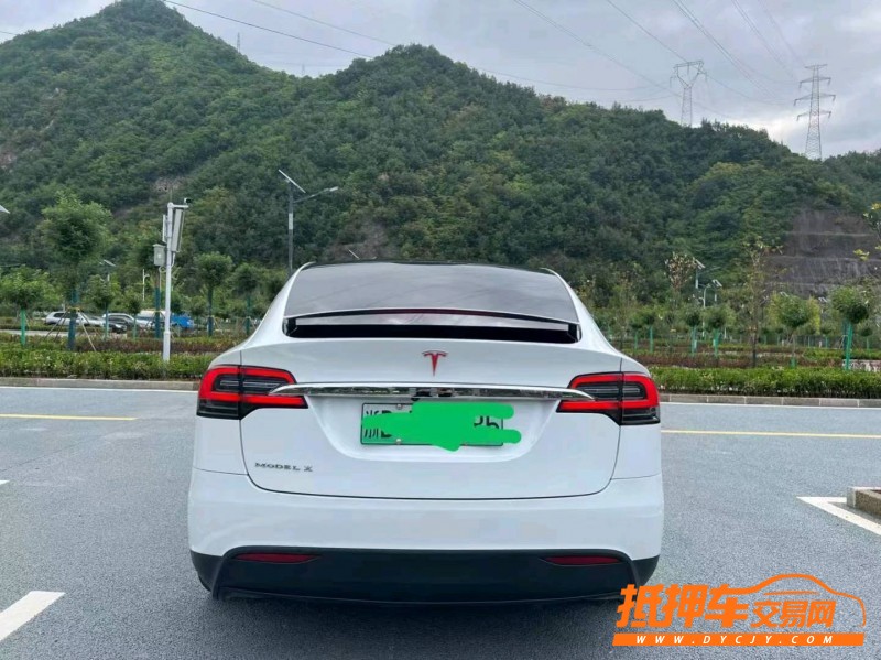 重慶18年特斯拉MODEL X9