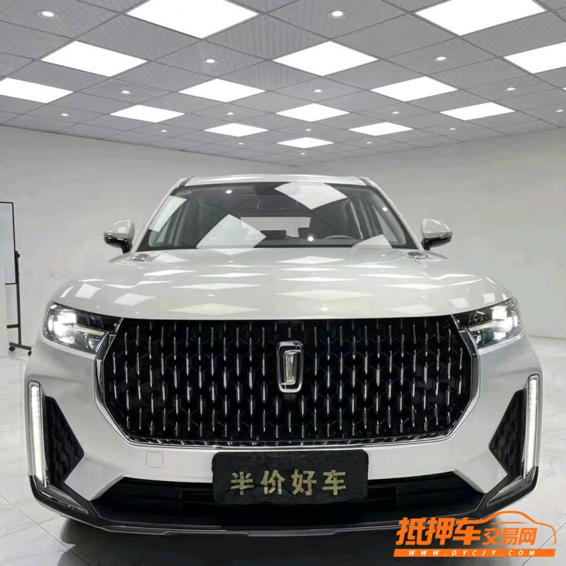 成都22年奔騰T991