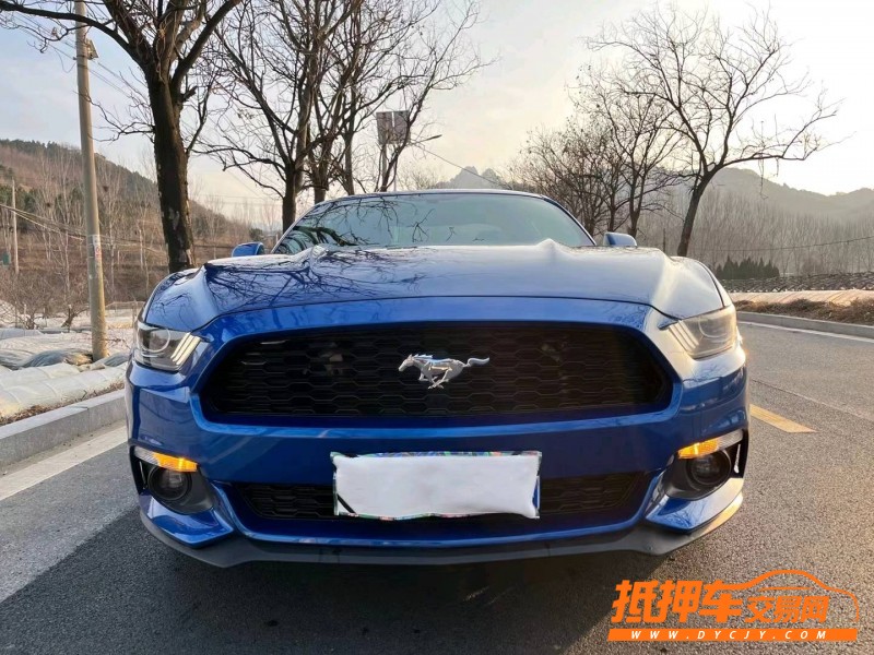 青岛17年福特野马8