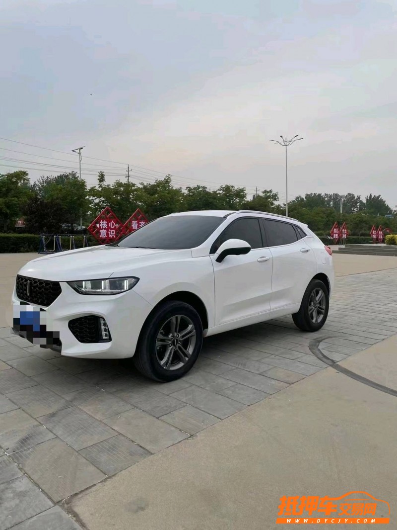 聊城19年長城汽車WEY VV57