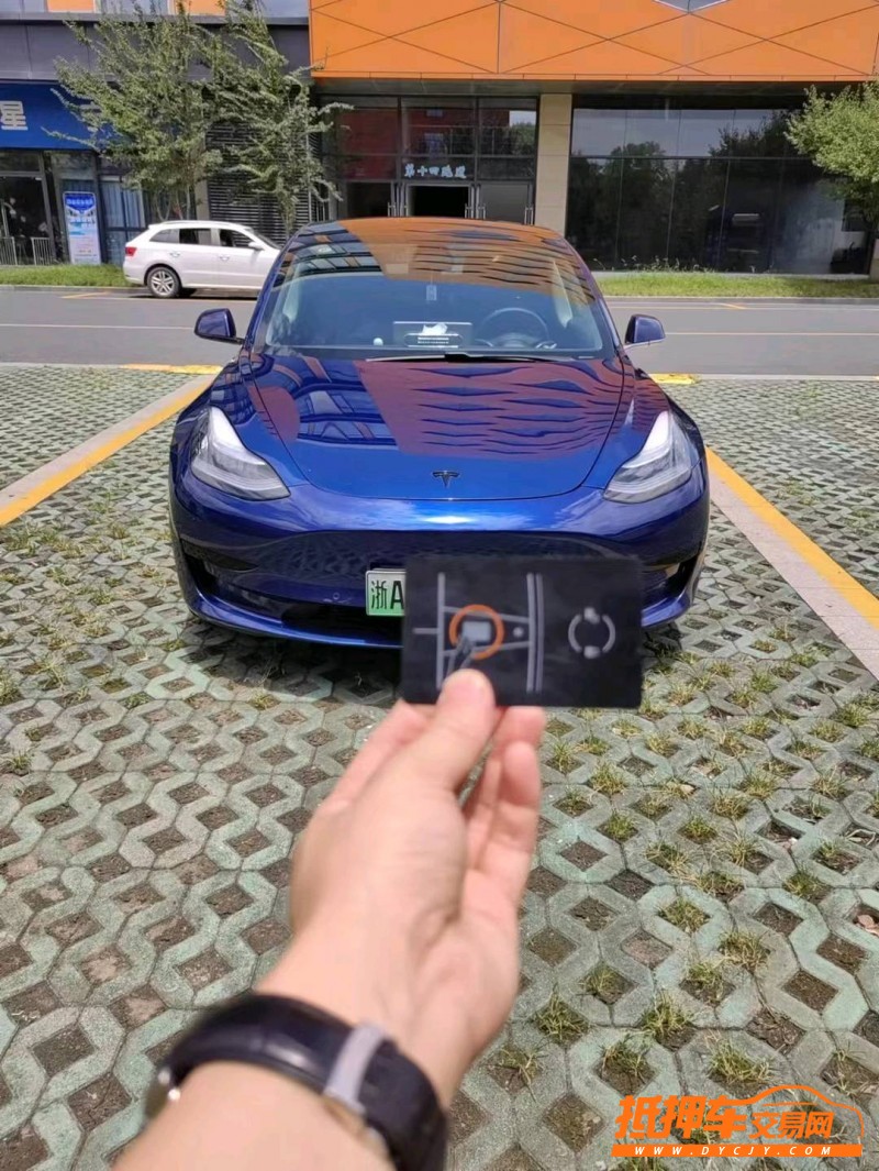 徐州20年特斯拉MODEL 31