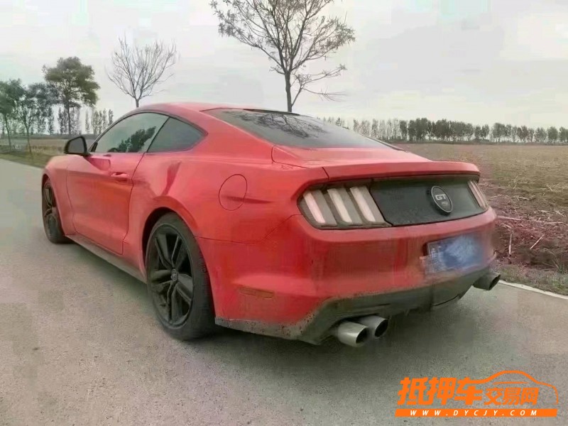 潍坊16年福特野马6